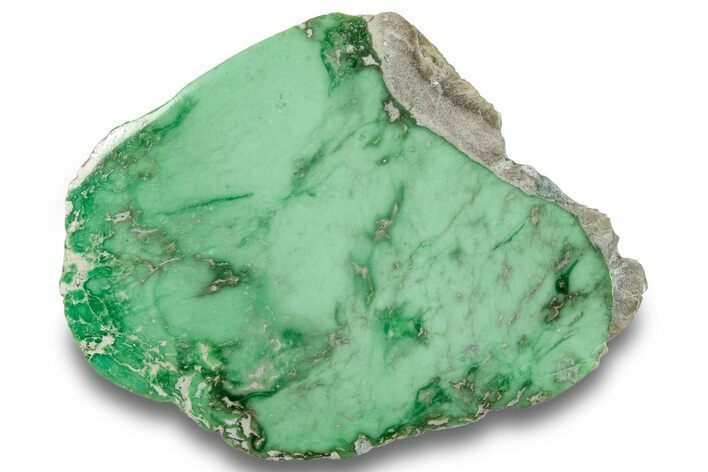 Polished Pastel Green Lucin Variscite ( g) - Utah #256282